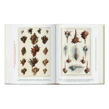 Load image into Gallery viewer, Seba. Cabinet of Natural Curiosities. 45th Ed. (German, French, English)