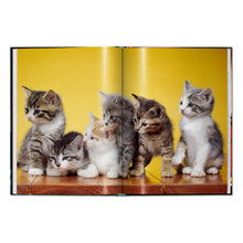 Load image into Gallery viewer, Walter Chandoha. Cats. Photographs 1942–2018 (English)