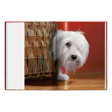 Load image into Gallery viewer, Walter Chandoha. Dogs. Photographs 1941–1991 (English)