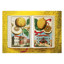 Load image into Gallery viewer, J. C. Volkamer. The Book of Citrus Fruits (German, French, English)