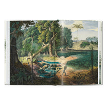 Load image into Gallery viewer, Martius. The Book of Palms. 45th Ed. (German, French, English)