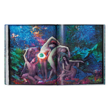 Load image into Gallery viewer, David LaChapelle. Good News (English)