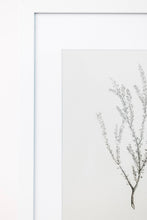 Load image into Gallery viewer, Enid Wall Art
