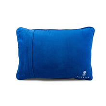 Load image into Gallery viewer, Try Me Needlepoint Pillow