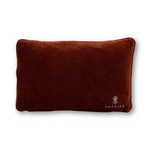 Load image into Gallery viewer, Sounds Gay Needlepoint Pillow
