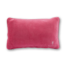 Load image into Gallery viewer, F This Needlepoint Pillow