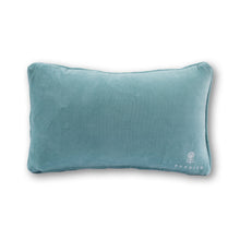 Load image into Gallery viewer, Iconic Needlepoint Pillow