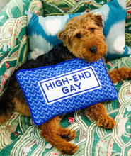 Load image into Gallery viewer, High End Gay Needlepoint Pillow