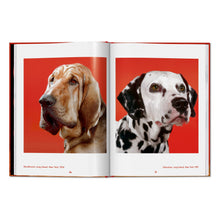Load image into Gallery viewer, Walter Chandoha. Dogs. Photographs 1941–1991 (English)