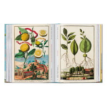 Load image into Gallery viewer, J. C. Volkamer. The Book of Citrus Fruits. 45th Ed. (German, French, English)