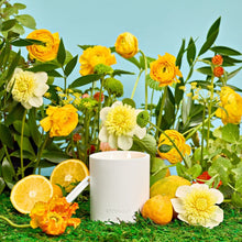 Load image into Gallery viewer, Lemongrass and Neroli 2-Wick Candle