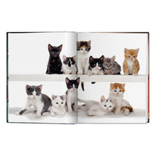 Load image into Gallery viewer, Walter Chandoha. Cats. Photographs 1942–2018 (German, French, English)
