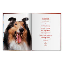 Load image into Gallery viewer, Walter Chandoha. Dogs. Photographs 1941–1991 (German, French, English)