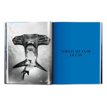 Load image into Gallery viewer, Michael Muller. Sharks (English)