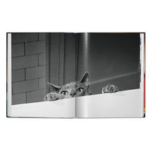 Load image into Gallery viewer, Walter Chandoha. Cats. Photographs 1942–2018 (German, French, English)