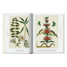 Load image into Gallery viewer, Seba. Cabinet of Natural Curiosities. 45th Ed. (German, French, English)