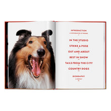 Load image into Gallery viewer, Walter Chandoha. Dogs. Photographs 1941–1991 (English)