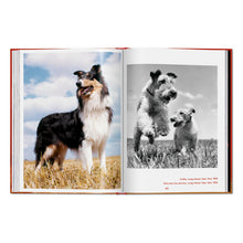 Load image into Gallery viewer, Walter Chandoha. Dogs. Photographs 1941–1991 (English)