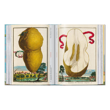 Load image into Gallery viewer, J. C. Volkamer. The Book of Citrus Fruits. 45th Ed. (German, French, English)