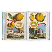 Load image into Gallery viewer, J. C. Volkamer. The Book of Citrus Fruits. 45th Ed. (German, French, English)