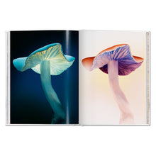 Load image into Gallery viewer, The Gourmand's Mushroom. A Collection of Stories and Recipes (English)
