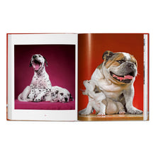 Load image into Gallery viewer, Walter Chandoha. Dogs. Photographs 1941–1991 (German, French, English)