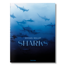 Load image into Gallery viewer, Michael Muller. Sharks (English)