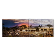 Load image into Gallery viewer, Stephen Wilkes. Day to Night (German, French, English)