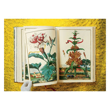 Load image into Gallery viewer, J. C. Volkamer. The Book of Citrus Fruits (German, French, English)