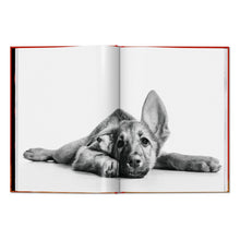 Load image into Gallery viewer, Walter Chandoha. Dogs. Photographs 1941–1991 (English)