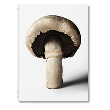Load image into Gallery viewer, The Gourmand's Mushroom. A Collection of Stories and Recipes (English)