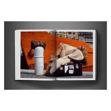 Load image into Gallery viewer, David Bailey. Eighties (English)