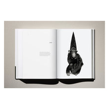 Load image into Gallery viewer, Albert Watson. Kaos (German, French, English)