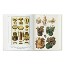 Load image into Gallery viewer, Seba. Cabinet of Natural Curiosities. 45th Ed. (German, French, English)
