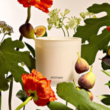 Load image into Gallery viewer, Fig and Olive Leaf 3-Wick Candle
