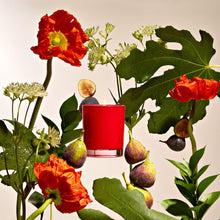Load image into Gallery viewer, Fig and Olive Leaf Petite Candle