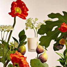 Load image into Gallery viewer, Fig and Olive Leaf Votive Candle