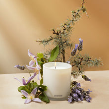 Load image into Gallery viewer, Hinoki Lavender Classic Candle