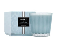 Load image into Gallery viewer, Nest New York Driftwood & Chamomile Candle