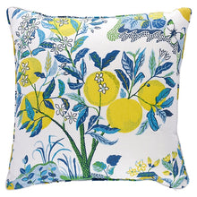 Load image into Gallery viewer, Outdoor Schumacher Citrus Garden Pillow Cover in Pool