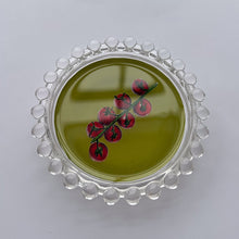 Load image into Gallery viewer, Tomatoes Trinket Dish