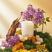 Load image into Gallery viewer, White Vetiver Classic Candle