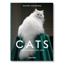 Load image into Gallery viewer, Walter Chandoha. Cats. Photographs 1942–2018 (English)