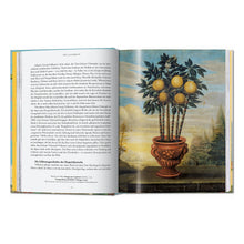 Load image into Gallery viewer, J. C. Volkamer. The Book of Citrus Fruits. 45th Ed. (German, French, English)