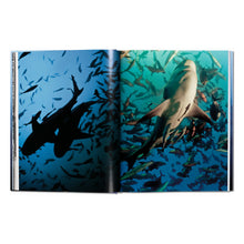 Load image into Gallery viewer, Michael Muller. Sharks (English)