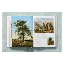 Load image into Gallery viewer, The Alps 1900. A Portrait in Color (German, French, English)