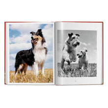 Load image into Gallery viewer, Walter Chandoha. Dogs. Photographs 1941–1991 (German, French, English)
