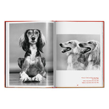 Load image into Gallery viewer, Walter Chandoha. Dogs. Photographs 1941–1991 (English)