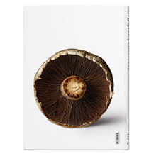 Load image into Gallery viewer, The Gourmand's Mushroom. A Collection of Stories and Recipes (English)