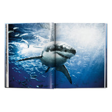 Load image into Gallery viewer, Michael Muller. Sharks (English)